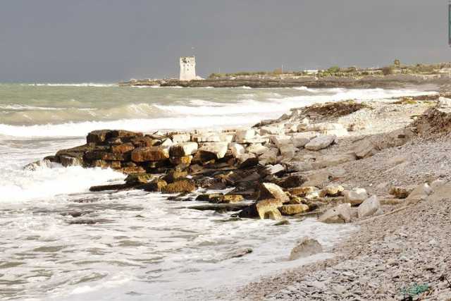 L'oasi di Torre Calderina: fra terra e mare un rifugio per piante e animali rari
